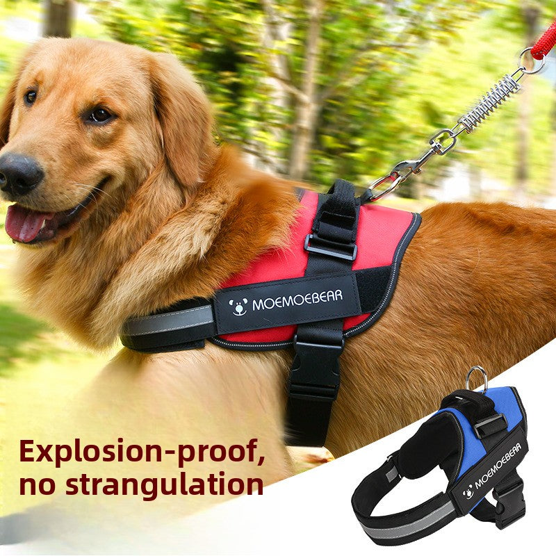 Arnés para perro – seguro, cómodo y ajustable para paseos sin tirones