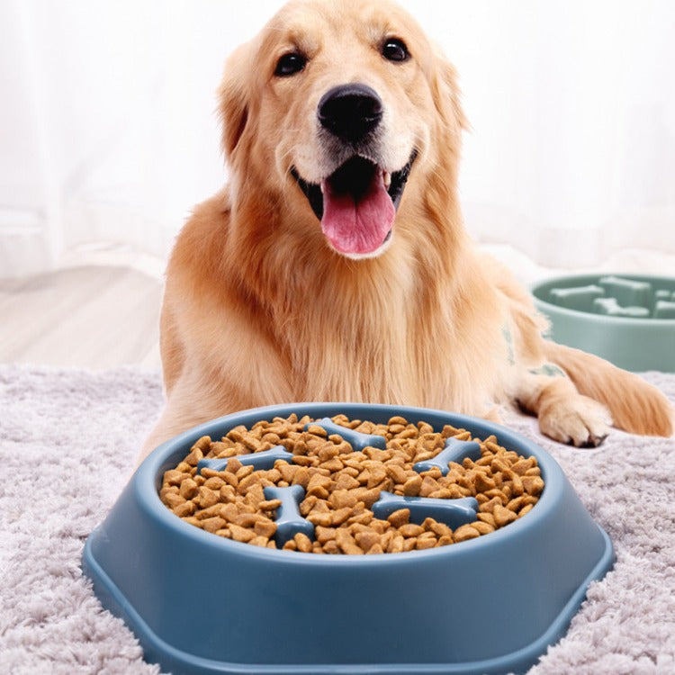 Comedero Lento para Mascotas