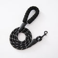 Correa de Nylon para Pasear Perros